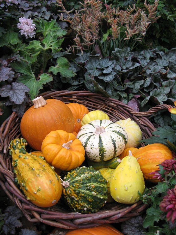 Cornucopia