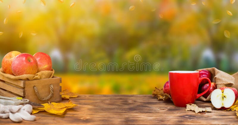 Cornucopia del raccolto di caduta Tazza del tè caldo della mela per la bevanda calda di stagione di autunno
