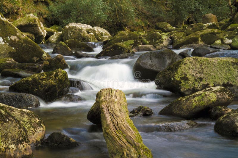 Cornwood River stock image. Image of exposure, cornwood 46435451