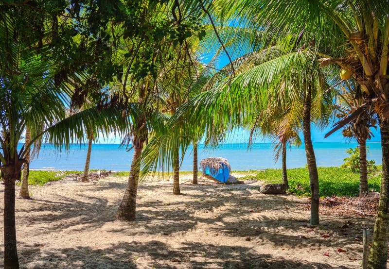 Coroa Vermelha Beach in Porto Seguro, Bahia - Tourism and Destinations ...