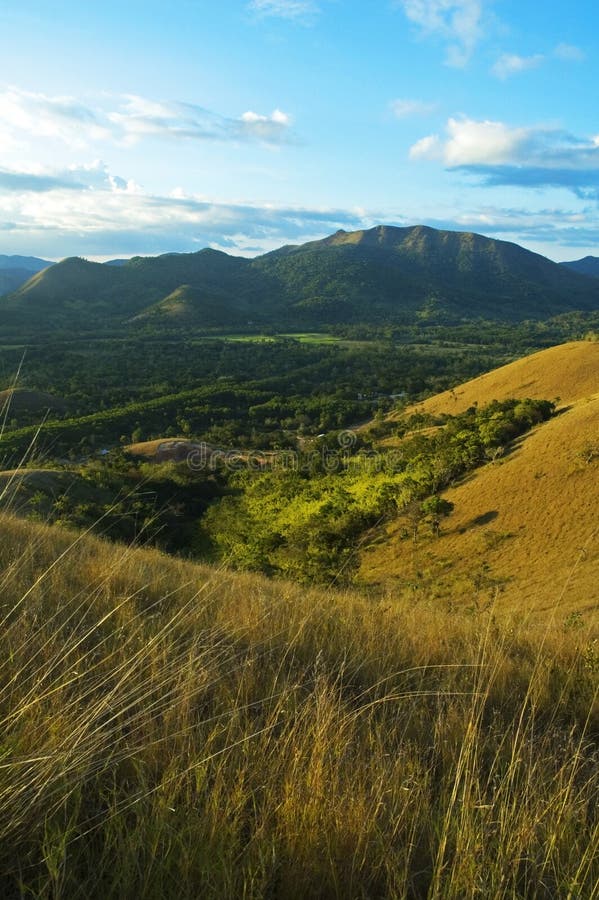 Coron Mountain Landscape Difference Hues of Green