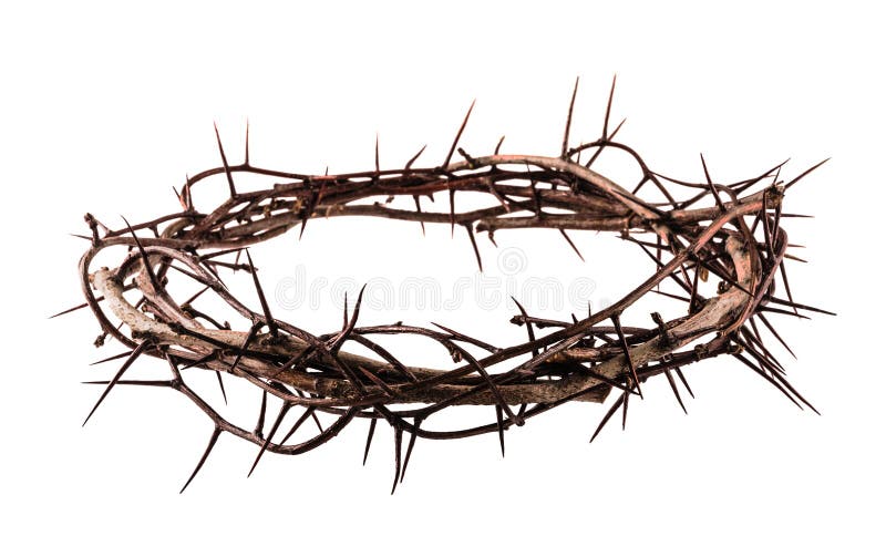 Crown of thorns Jesus Christ isolaten on white. Crown of thorns Jesus Christ isolaten on white