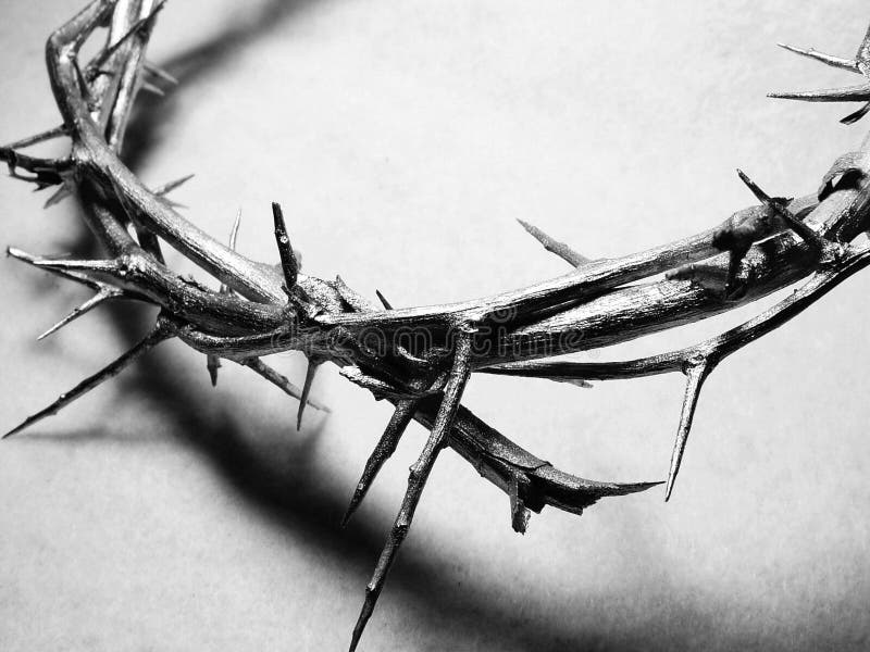 A shot of a crown of thorns similar to what Christ may have worn at the crucifixion. A shot of a crown of thorns similar to what Christ may have worn at the crucifixion