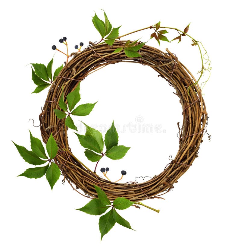 Corona di rattan bruna secca con ramificazione di uve selvatiche isolate su bianco fotografia stock libera da diritti