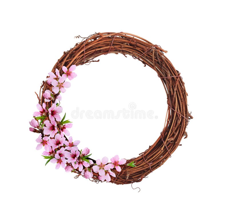 Corona di rattano marrone secco con fiori di molla rosa isolati su fondo bianco per la Pasqua immagini stock