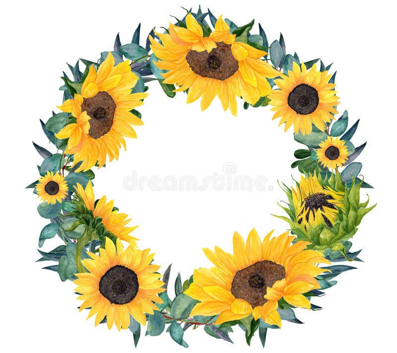 Corona dipinta a mano del girasole dell'acquerello royalty illustrazione gratis Corona dipinta a mano del girasole dell'acquerello royalty illustrazione gratis