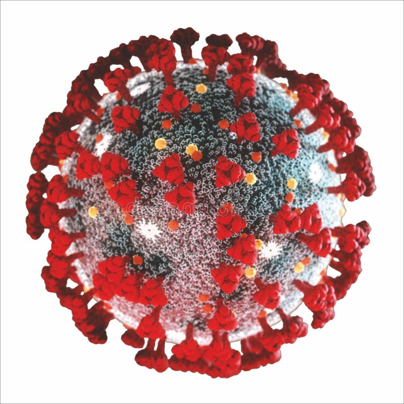 Corona virus covid19 forma de corona virus gray e red para estudo médico estudante