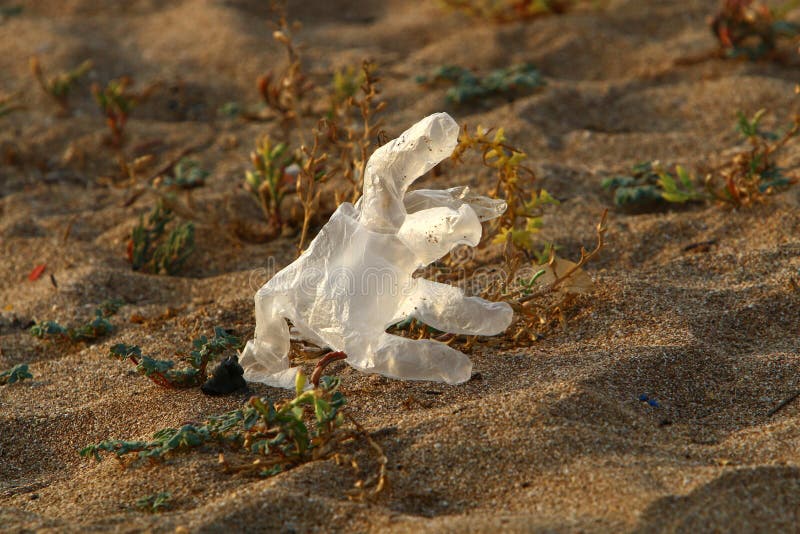 After the coronavirus, there are many abandoned protective equipment on the streets and beaches in Israel. After the coronavirus on the streets and beaches in royalty free stock photography After the coronavirus, there are many abandoned protective equipment on the streets and beaches in Israel. After the coronavirus on the streets and beaches in royalty free stock photography