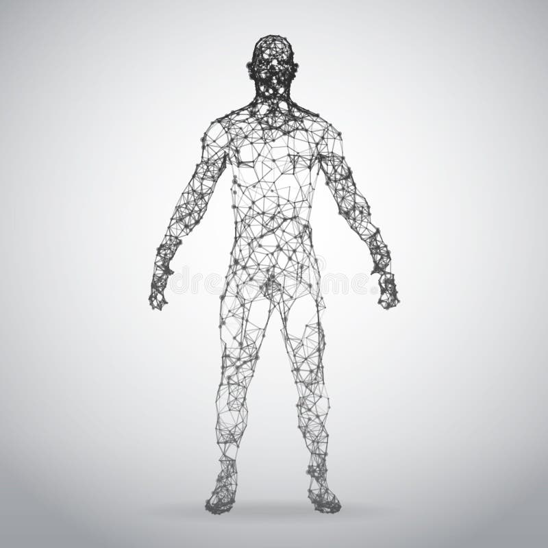 Corpo humano do quadro abstrato do fio Modelo 3d poligonal no fundo branco ilustração stock Corpo humano do quadro abstrato do fio Modelo 3d poligonal no fundo branco ilustração stock