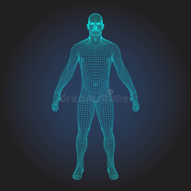 Corpo umano del wireframe 3D illustrazione vettoriale