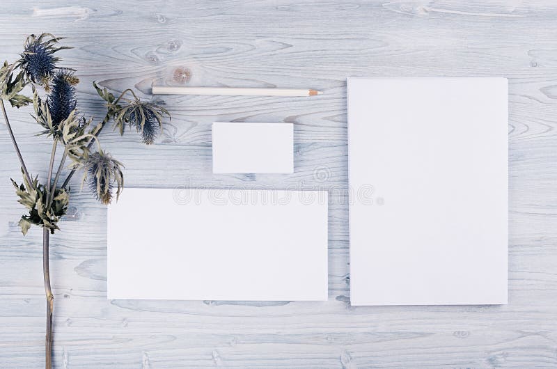 Corporate identity template, stationery with dry flower on soft light blue wooden board. Mock up for branding, graphic designers p royalty free stock photo Corporate identity template, stationery with dry flower on soft light blue wooden board. Mock up for branding, graphic designers p royalty free stock photo