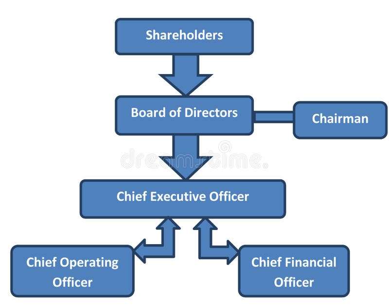 Board Of Directors Organizational Chart