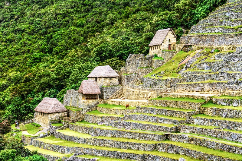 Corps de garde dans Machu Picchu, vallée sacrée, Pérou images stock Corps de garde dans Machu Picchu, vallée sacrée, Pérou images stock