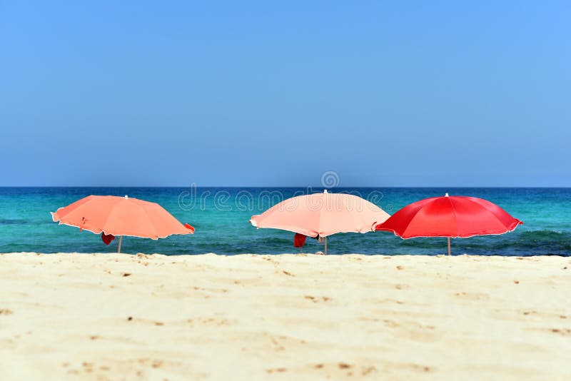 Corralejo-Strand, Fuerteventura stockfotografie Corralejo-Strand, Fuerteventura stockfotografie
