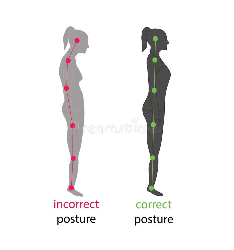 Body Alignment Stock Illustrations – 1,064 Body Alignment Stock