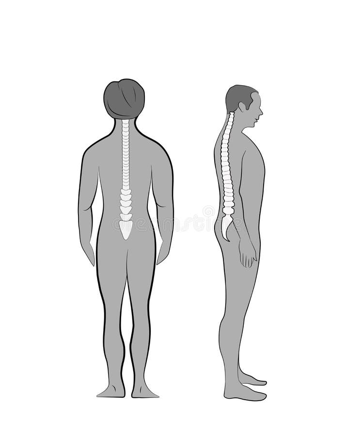 Correct Alignment of Human Body in Standing Posture for Good ... Biology Diagrams