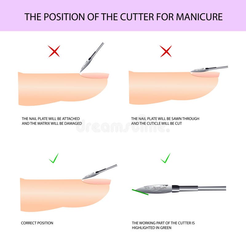 Correct use of the cutter. Professional manicure guide, illustration, infographics. Correct use of the cutter. Professional manicure guide, illustration, infographics