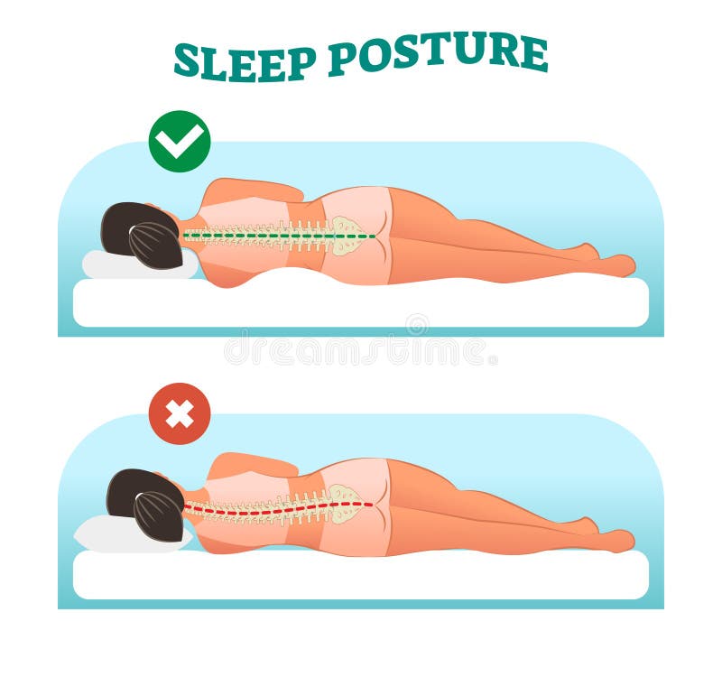 Sana e corretta la posizione di sonno per il vostro collo e della colonna vertebrale, illustrazione vettoriale con letto femmina da vista posteriore.