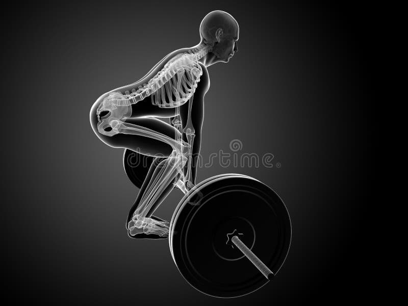 Correct lifting posture vector illustration