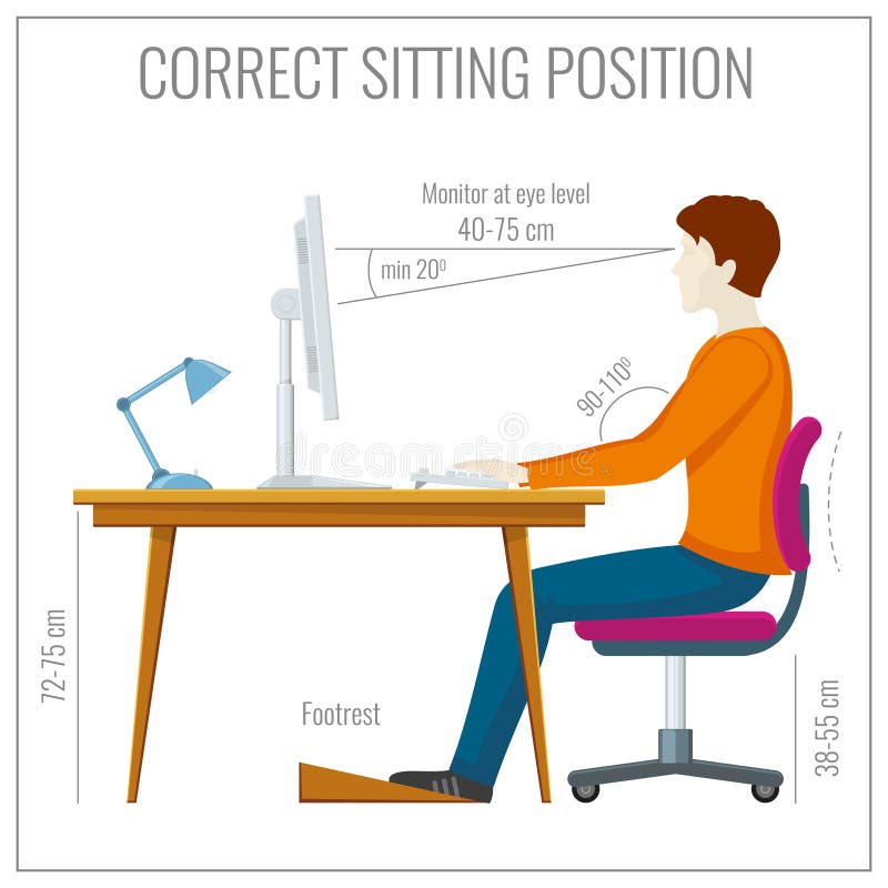 Correct Spine Sitting Posture at Computer. Vector Infographics Stock ...