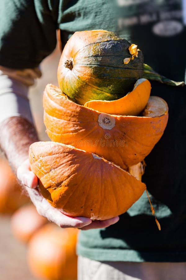 Download Correction de potiron photo stock. Image du comestible - 45370712