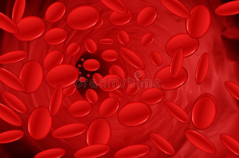 View on stream of cells of blood. View on stream of cells of blood