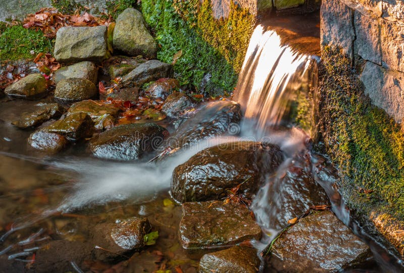 Corrente dell'acqua con le pietre nella foresta immagini stock Corrente dell'acqua con le pietre nella foresta immagini stock