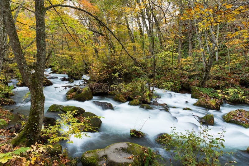 Corrente di Oirase in autunno fotografie stock Corrente di Oirase in autunno fotografie stock