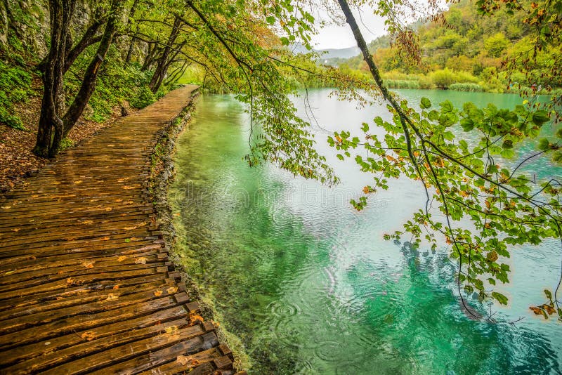 Corrente profonda della foresta Cristallo - acqua libera Laghi Plitvice, Croatia