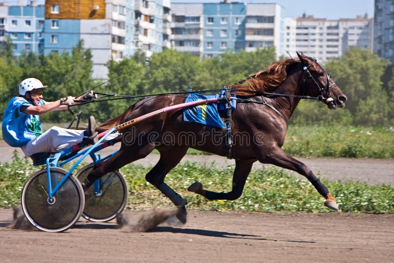 Jockey Com Seu Cavalo Pulando Sobre Um Obstáculo Pulando Sobre O Obstáculo  Na Competição Foto de Stock - Imagem de movimento, equestre: 194863184