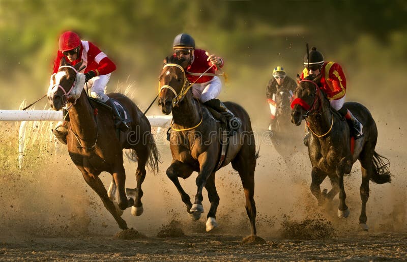 Corrida de cavalos no hipódromo de Belgrado