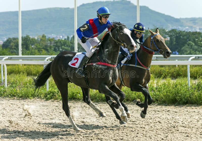 Corrida no Hipódromo – Só Jogo