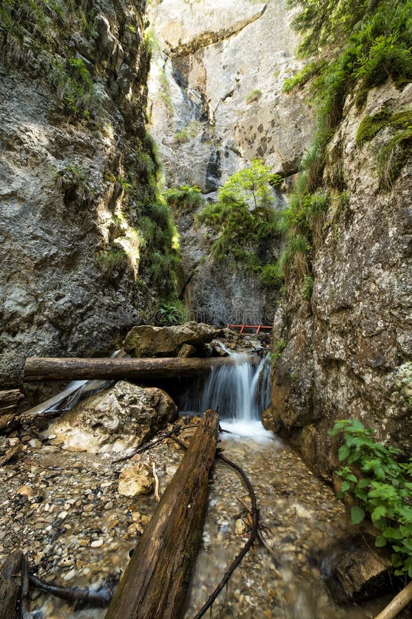 Corriente Del Agua Dulce Que Fluye Abajo Foto de archivo Imagen de