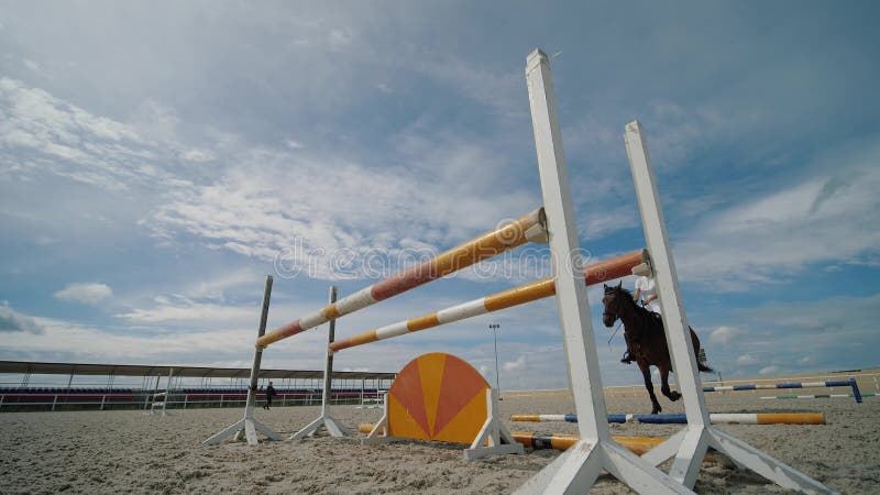 Mulher-cavalo Cavalgando a Cavalo Marrom E Pulando a Cerca Na Arena De  Sandy Parkour Salto De Treinamento Competitivo Filme - Vídeo de cantor,  mostra: 160093714