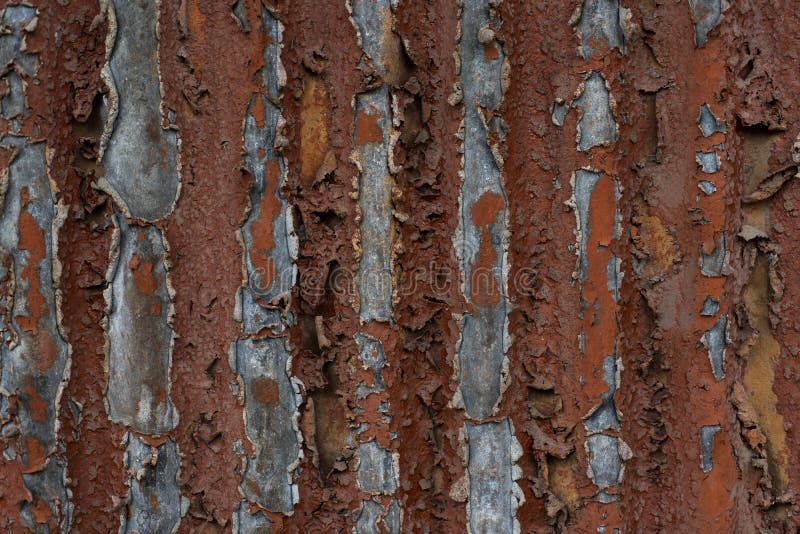 Corrosion de la surface métallique et érosion de peinture Surface rouillée photographie stock Corrosion de la surface métallique et érosion de peinture Surface rouillée photographie stock