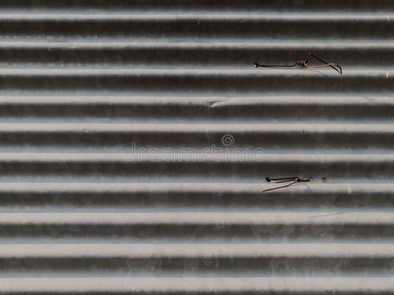 Corrugated Metal Sheet with Rusty Nails. Background and Texture. Stock