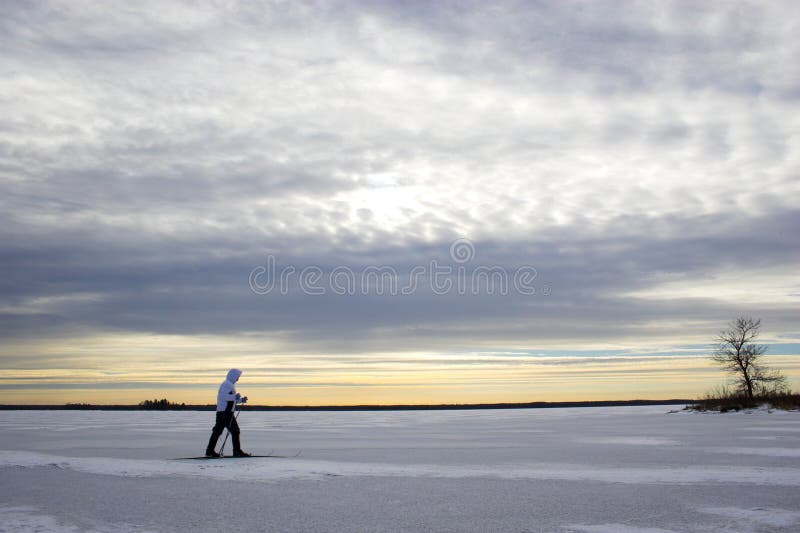 Cross-country winter skiing on the lakeï¿½s ice in Voyager National Park. Cross-country winter skiing on the lakeï¿½s ice in Voyager National Park