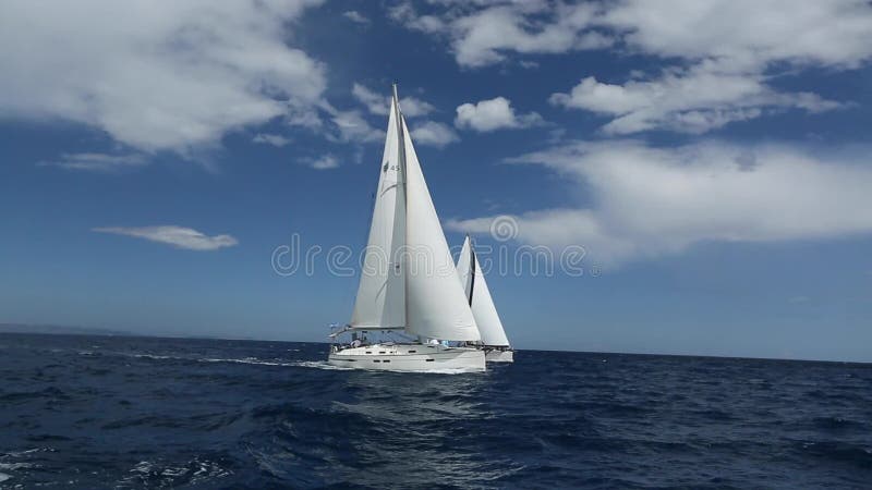 Corsa di yacht di navigazione File degli yacht di lusso al bacino del porticciolo Barche nella regata di navigazione Yacht della