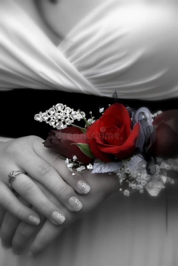 corsage bal obrazy stock corsage bal obrazy stock