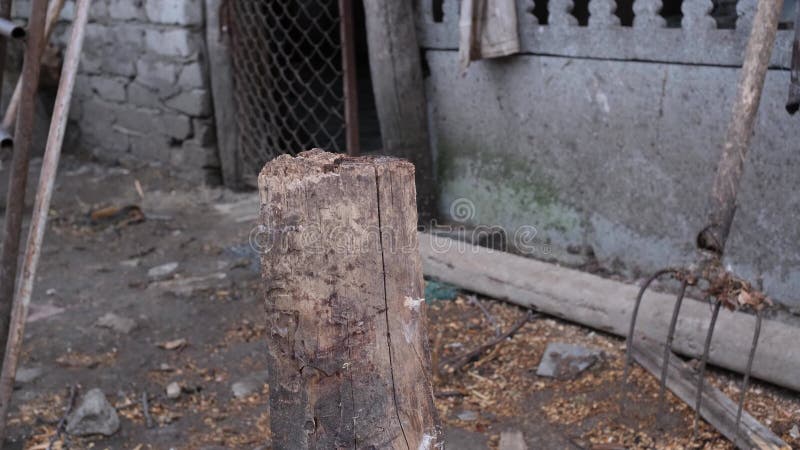 Corta um feixe de madeira ao meio com um machado velho