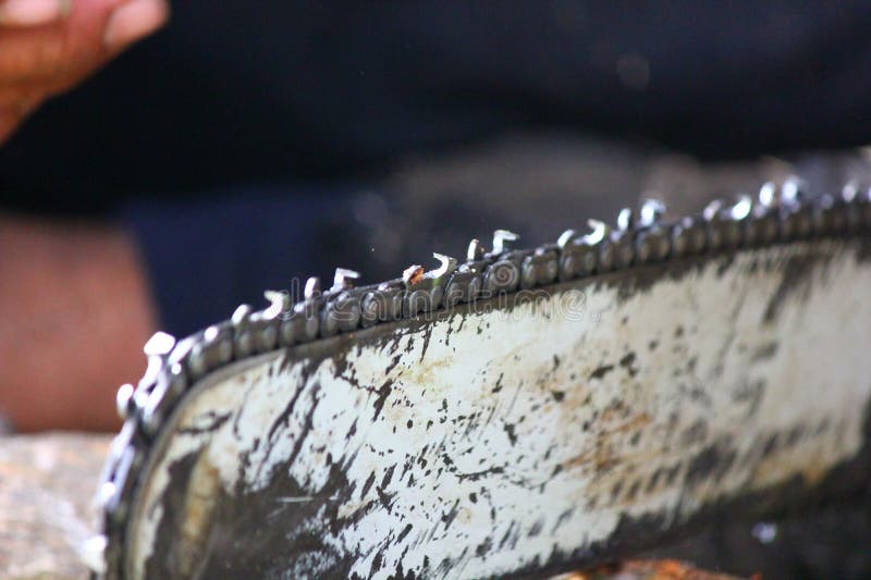 Cortador de motosserras para lenhadores fotografia de stock royalty free