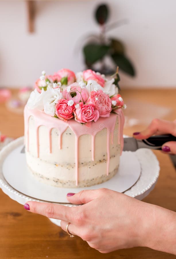 Close-up das mãos das mulheres segurando um bolo decorado com