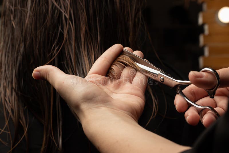 Salão. close-up de um corte de cabelo feminino, mestre em uma