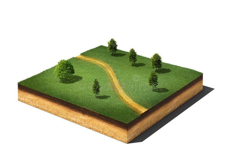 Corte de la tierra con la hierba, los árboles y el sendero en blanco