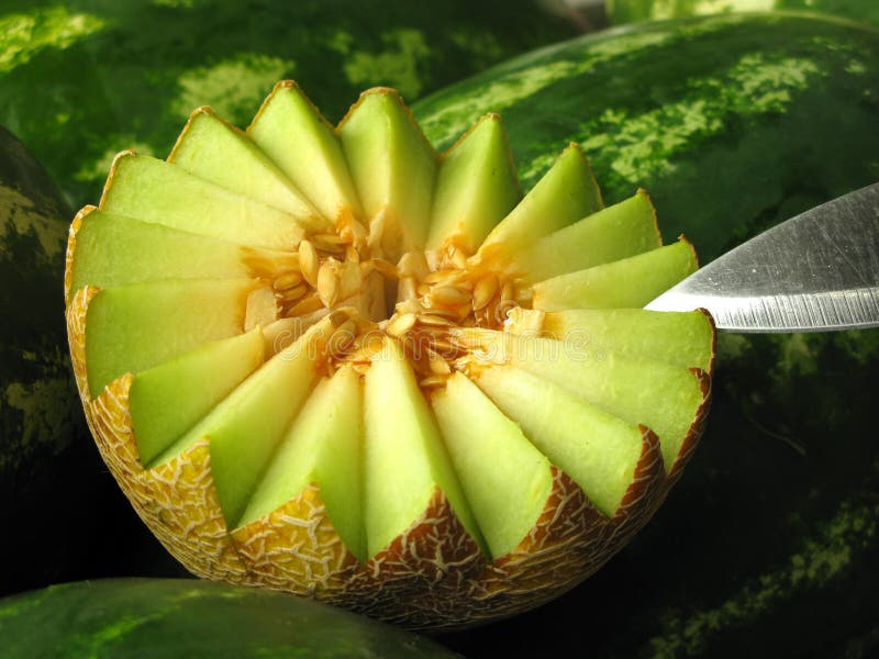 Details of a decoratively cut, half cantaloupe and knife. Green background. Details of a decoratively cut, half cantaloupe and knife. Green background.