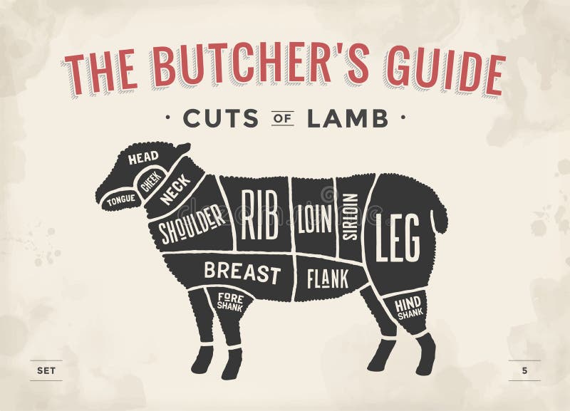 Corte do grupo da carne Diagrama do carniceiro do cartaz e esquema - cordeiro Desenhado à mão tipográfico do vintage Ilustração d