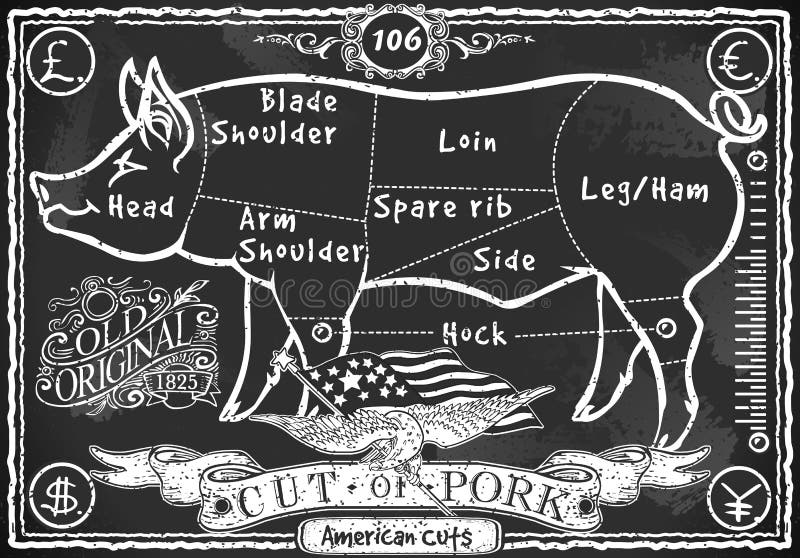 Detailed illustration of a Vintage Blackboard American Cut of Pork Illustration in EPS10 with color space in RGB. Detailed illustration of a Vintage Blackboard American Cut of Pork Illustration in EPS10 with color space in RGB.