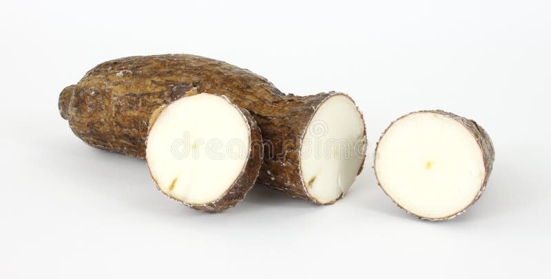 Cortar raíz de taro fotografía de archivo
