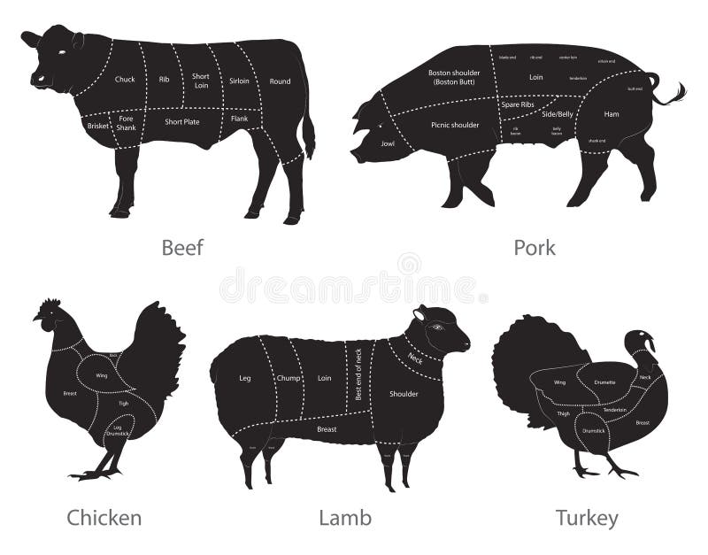 Vector set of farm animal cuts. Vector set of farm animal cuts