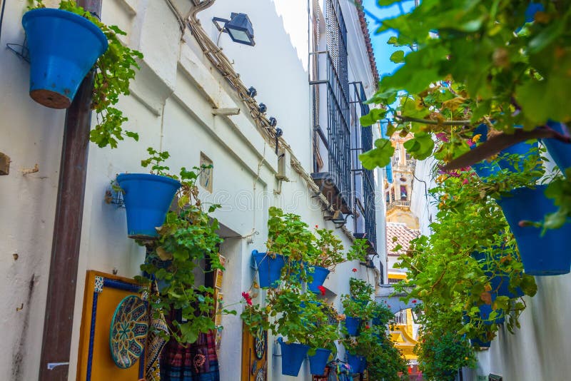 Cortile andaluso tipico decorato con i fiori nella città di Cordova, Spagna fotografia stock libera da diritti Cortile andaluso tipico decorato con i fiori nella città di Cordova, Spagna fotografia stock libera da diritti